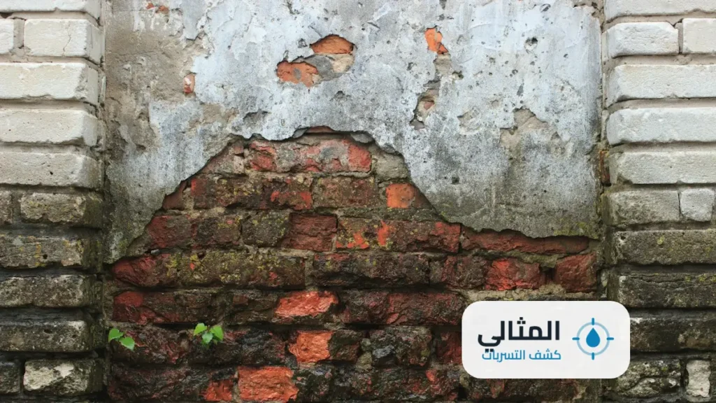 شركة كشف تسربات المياه بابها