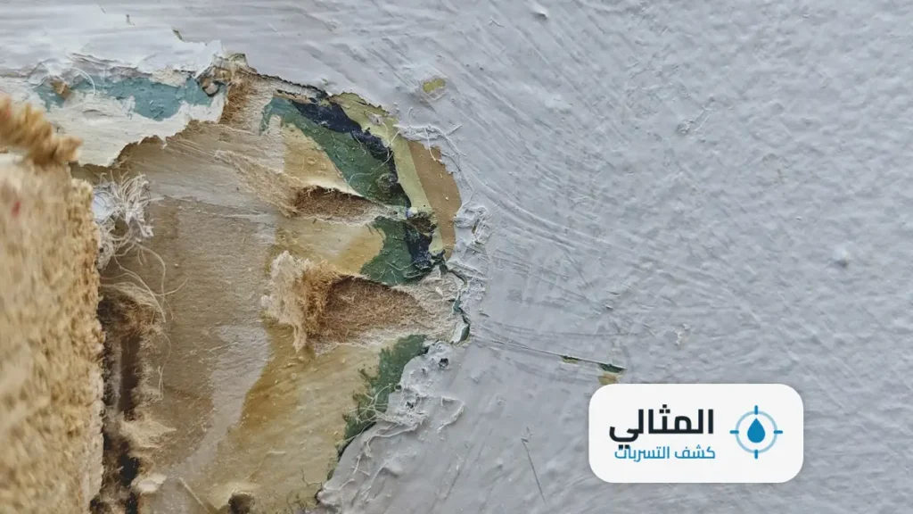 شركة كشف تسربات المياه بابها