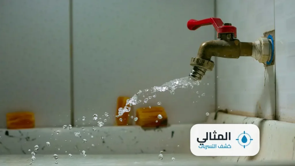 شركة كشف تسربات المياه بالدوادمي