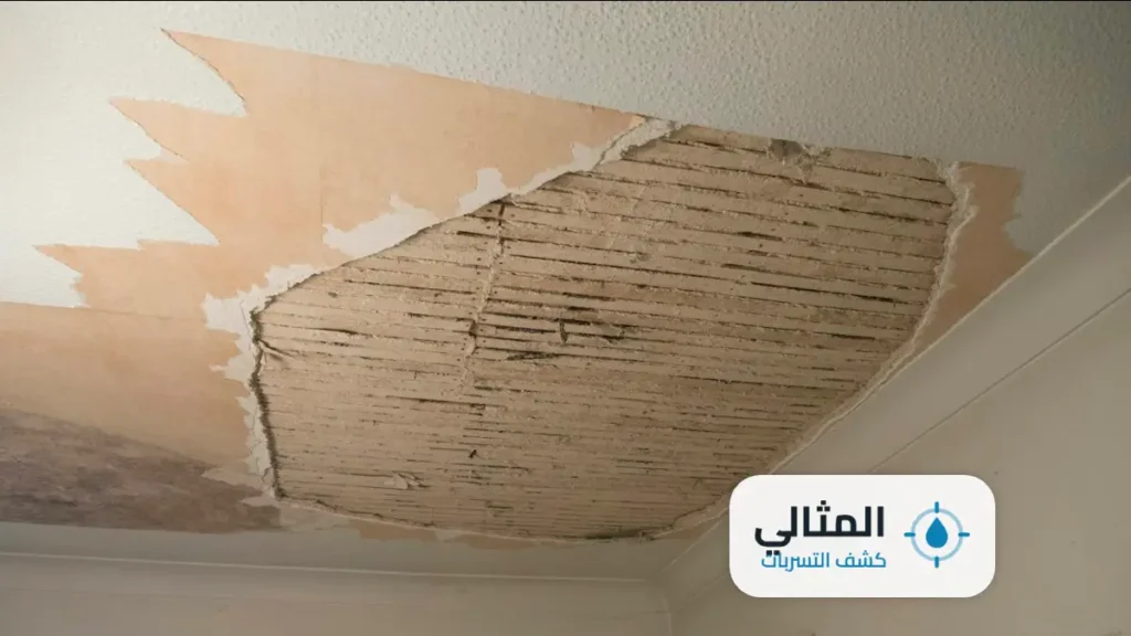 شركة كشف تسربات المياه بالخبر