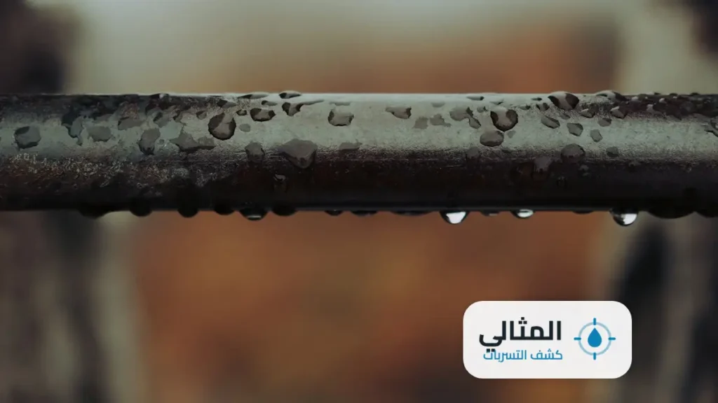شركة كشف تسربات المياه بمكة