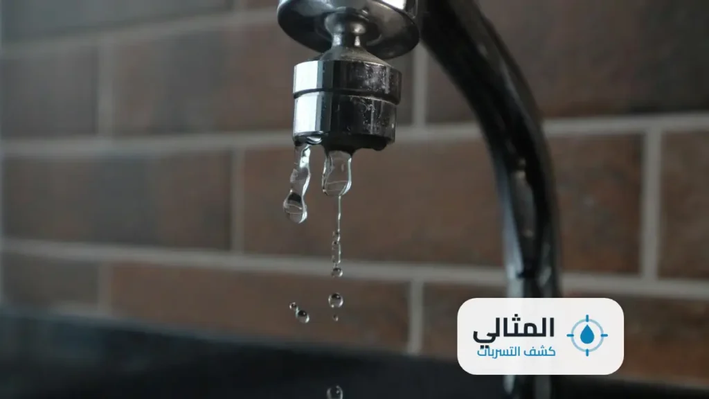 شركة كشف تسربات المياه بالرياض